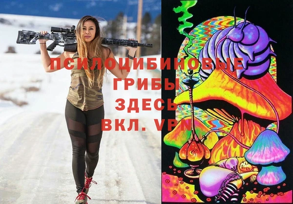 дмт Арсеньев