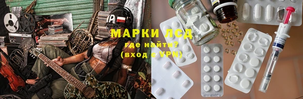 прущие грибы Армянск