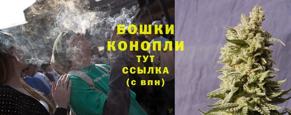 дмт Арсеньев