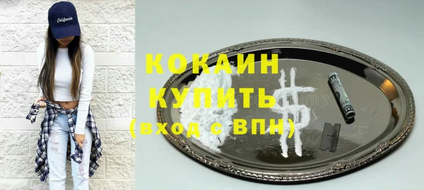 дмт Арсеньев